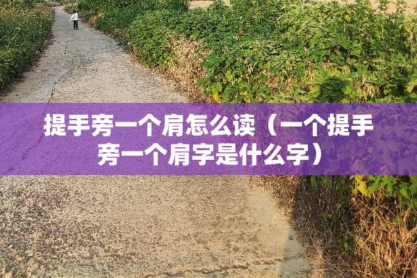 提手旁一个肩怎么读（一个提手旁一个肩字是什么字）