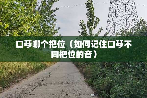 口琴哪个把位(如何记住口琴不同把位的音) 口琴哪个把位(如何记住口琴不同把位的音)