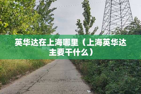 英华达在上海哪里（上海英华达主要干什么）