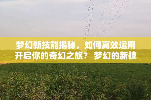 梦幻新技能揭秘,如何高效运用开启你的奇幻之旅? 梦幻的新技能 梦幻新技能揭秘,如何高效运用开启你的奇幻之旅? 梦幻的新技能