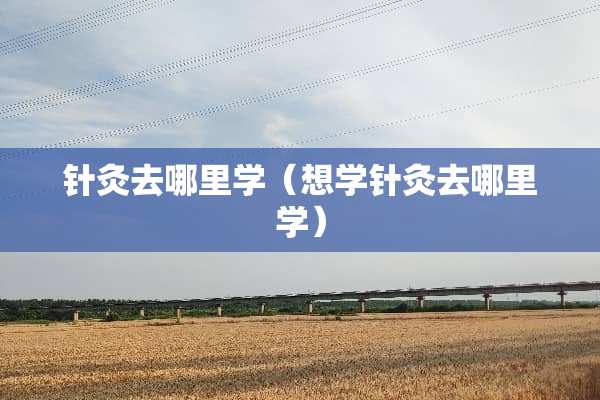 针灸去哪里学(想学针灸去哪里学) 针灸去哪里学(想学针灸去哪里学)