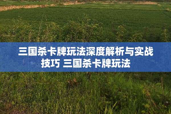 三国杀卡牌玩法深度解析与实战技巧 三国杀卡牌玩法 三国杀卡牌玩法深度解析与实战技巧 三国杀卡牌玩法