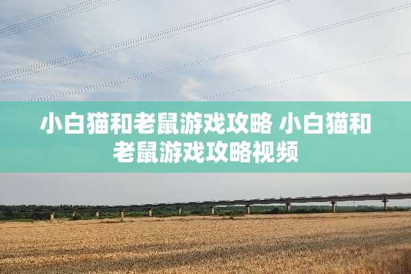 小白猫和老鼠游戏攻略 小白猫和老鼠游戏攻略视频 小白猫和老鼠游戏攻略 小白猫和老鼠游戏攻略视频