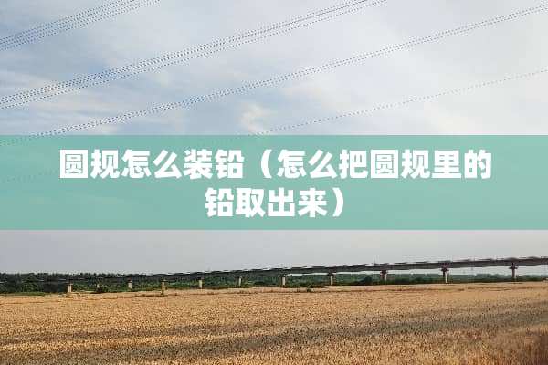 圆规怎么装铅(怎么把圆规里的铅取出来) 圆规怎么装铅(怎么把圆规里的铅取出来)