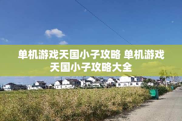 单机游戏天国小子攻略 单机游戏天国小子攻略大全