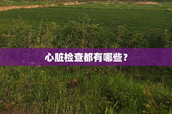 心脏检查都有哪些？