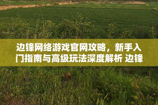 边锋网络游戏官网攻略,新手入门指南与高级玩法深度解析 边锋网络游戏官网攻略 边锋网络游戏官网攻略,新手入门指南与高级玩法深度解析 边锋网络游戏官网攻略