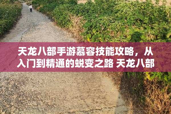 天龙八部手游慕容技能攻略,从入门到精通的蜕变之路 天龙八部手游慕容技能 天龙八部手游慕容技能攻略,从入门到精通的蜕变之路 天龙八部手游慕容技能