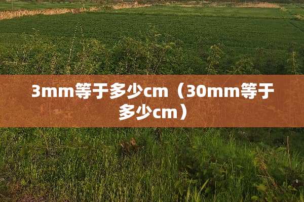 3mm等于多少cm（30mm等于多少cm）