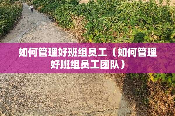 如何管理好班组员工(如何管理好班组员工团队) 如何管理好班组员工(如何管理好班组员工团队)