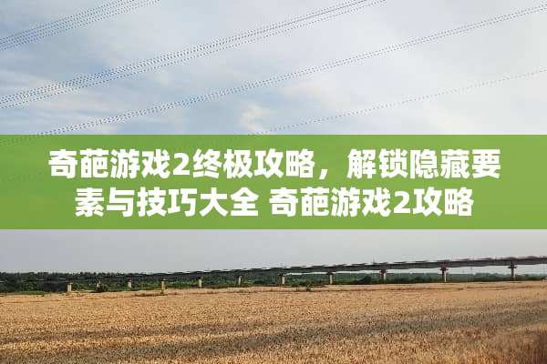 奇葩游戏2终极攻略,解锁隐藏要素与技巧大全 奇葩游戏2攻略 奇葩游戏2终极攻略,解锁隐藏要素与技巧大全 奇葩游戏2攻略