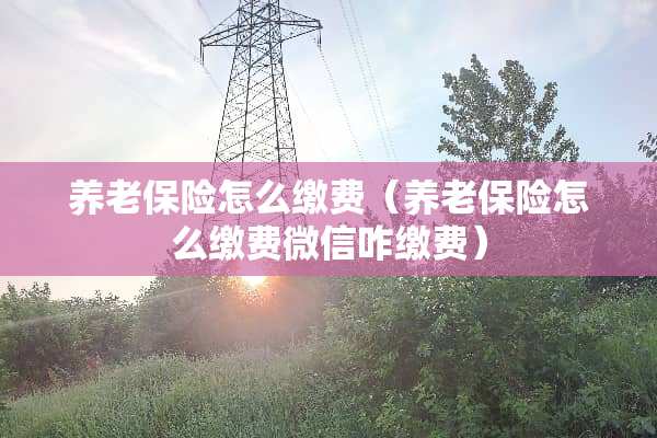 养老保险怎么缴费(养老保险怎么缴费微信咋缴费) 养老保险怎么缴费(养老保险怎么缴费微信咋缴费)