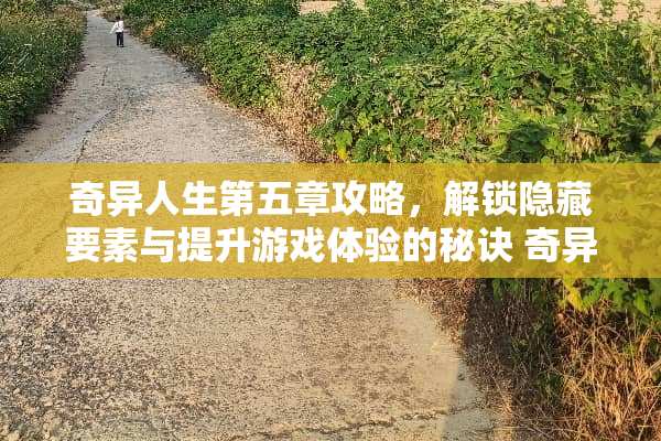 奇异人生第五章攻略，解锁隐藏要素与提升游戏体验的秘诀 奇异人生第五章攻略