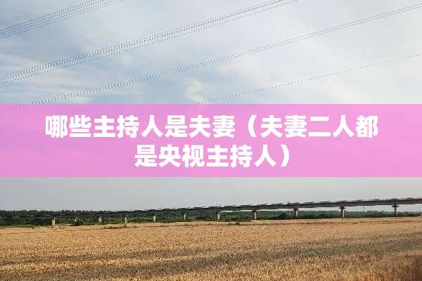 哪些主持人是夫妻(夫妻二人都是央视主持人) 哪些主持人是夫妻(夫妻二人都是央视主持人)