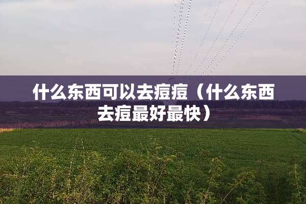 什么东西可以去痘痘(什么东西去痘最好最快) 什么东西可以去痘痘(什么东西去痘最好最快)