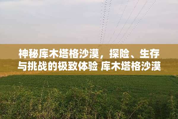 神秘库木塔格沙漠，探险、生存与挑战的极致体验 库木塔格沙漠攻略游戏