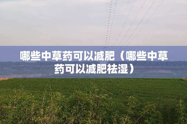 哪些中草药可以减肥(哪些中草药可以减肥祛湿) 哪些中草药可以减肥(哪些中草药可以减肥祛湿)