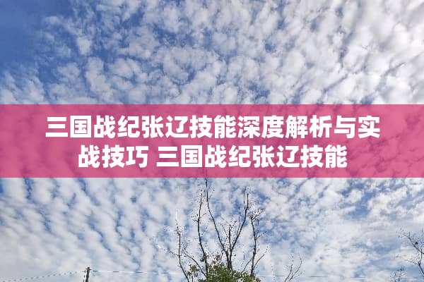 三国战纪张辽技能深度解析与实战技巧 三国战纪张辽技能 三国战纪张辽技能深度解析与实战技巧 三国战纪张辽技能