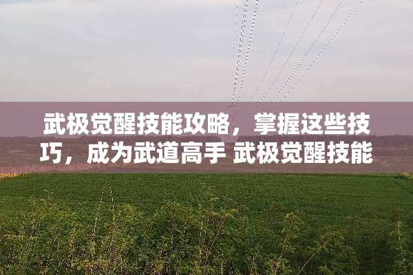 武极觉醒技能攻略，掌握这些技巧，成为武道高手 武极觉醒技能