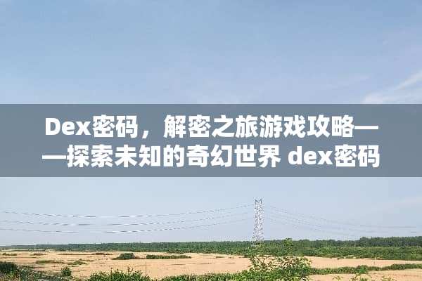 Dex密码，解密之旅游戏攻略——探索未知的奇幻世界 dex密码游戏攻略