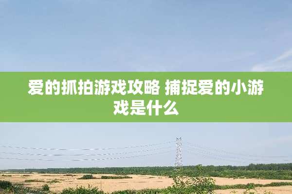 爱的抓拍游戏攻略 捕捉爱的小游戏是什么
