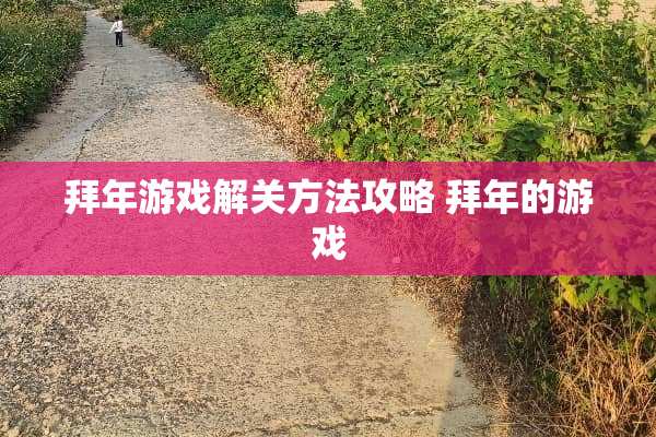 拜年游戏解关方法攻略 拜年的游戏 拜年游戏解关方法攻略 拜年的游戏