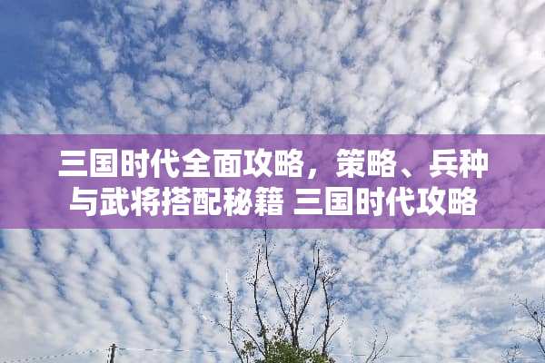 三国时代全面攻略,策略、兵种与武将搭配秘籍 三国时代攻略 三国时代全面攻略,策略、兵种与武将搭配秘籍 三国时代攻略