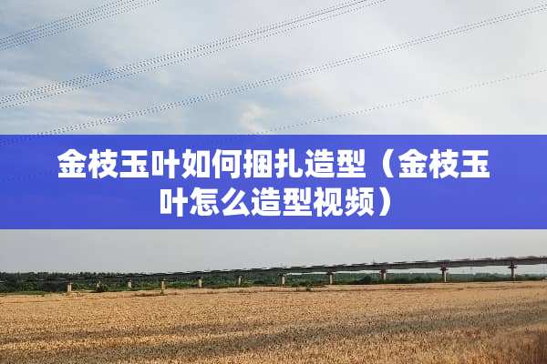 金枝玉叶如何捆扎造型(金枝玉叶怎么造型视频) 金枝玉叶如何捆扎造型(金枝玉叶怎么造型视频)