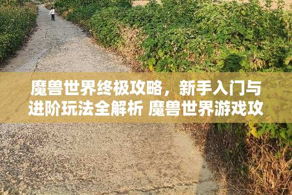 魔兽世界终极攻略,新手入门与进阶玩法全解析 魔兽世界游戏攻略 魔兽世界终极攻略,新手入门与进阶玩法全解析 魔兽世界游戏攻略