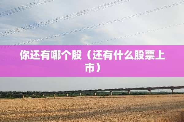 你还有哪个股(还有什么股票上市) 你还有哪个股(还有什么股票上市)