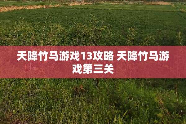 天降竹马游戏13攻略 天降竹马游戏第三关