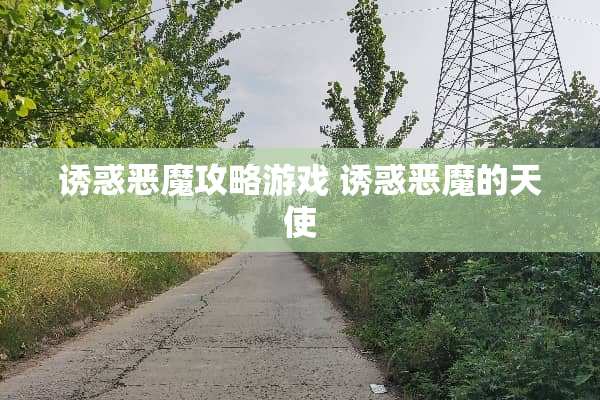 **恶魔攻略游戏**恶魔的天使