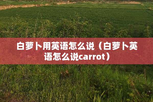 白萝卜用英语怎么说(白萝卜英语怎么说carrot) 白萝卜用英语怎么说(白萝卜英语怎么说carrot)