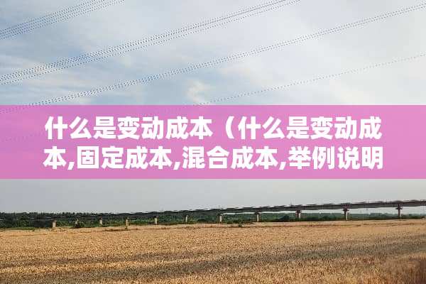什么是变动成本（什么是变动成本,固定成本,混合成本,举例说明）