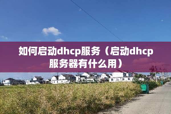 如何启动dhcp服务（启动dhcp服务器有什么用）
