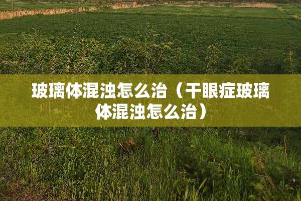 玻璃体混浊怎么治（干眼症玻璃体混浊怎么治）