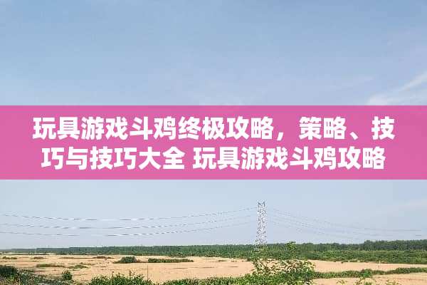 玩具游戏斗鸡终极攻略，策略、技巧与技巧大全 玩具游戏斗鸡攻略