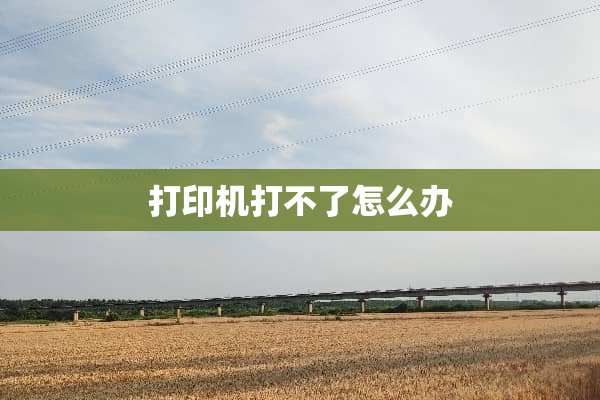 打印机打不了怎么办