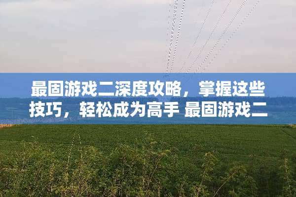 最固游戏二深度攻略,掌握这些技巧,轻松成为高手 最固游戏二的攻略 最固游戏二深度攻略,掌握这些技巧,轻松成为高手 最固游戏二的攻略