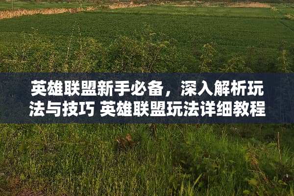 英雄联盟新手必备,深入解析玩法与技巧 英雄联盟玩法详细教程 英雄联盟新手必备,深入解析玩法与技巧 英雄联盟玩法详细教程