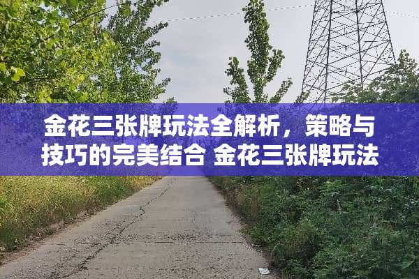 金花三张牌玩法全解析,策略与技巧的完美结合 金花三张牌玩法 金花三张牌玩法全解析,策略与技巧的完美结合 金花三张牌玩法