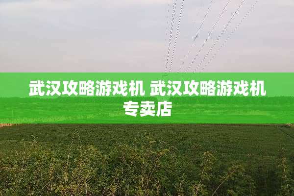 武汉攻略游戏机 武汉攻略游戏机专卖店 武汉攻略游戏机 武汉攻略游戏机专卖店