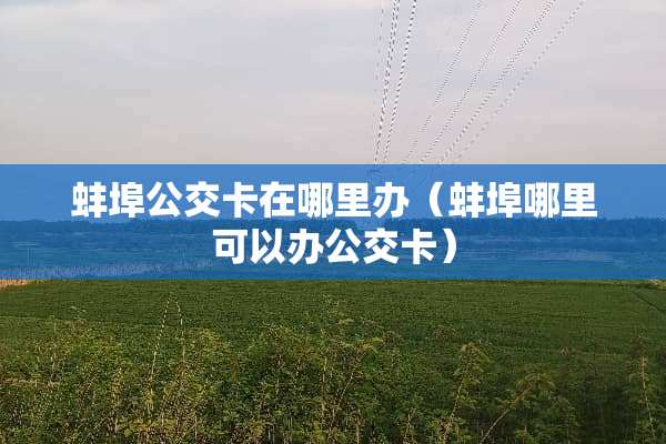 蚌埠公交卡在哪里办（蚌埠哪里可以办公交卡）