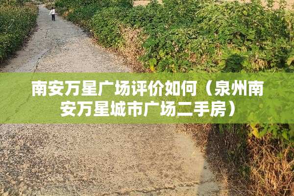 南安万星广场评价如何（泉州南安万星城市广场二手房）