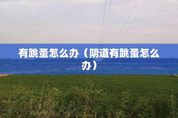 有跳蚤怎么办（*道有跳蚤怎么办）