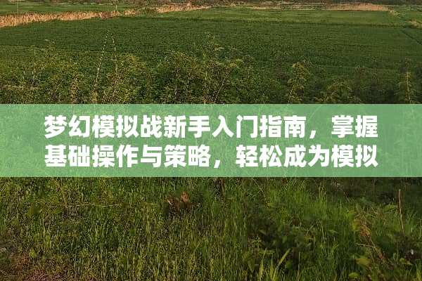 梦幻模拟战新手入门指南，掌握基础操作与策略，轻松成为模拟战高手 梦幻模拟战新手攻略