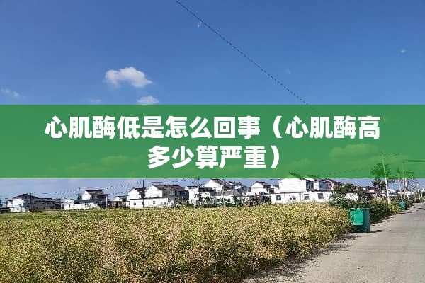 心肌酶低是怎么回事（心肌酶高多少算严重）