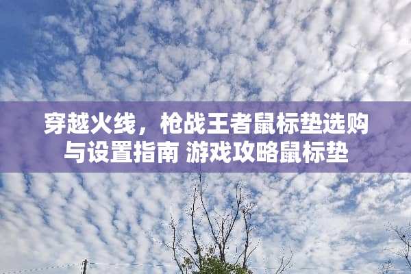 穿越火线,*战王者鼠标垫选购与设置指南 游戏攻略鼠标垫 穿越火线,*战王者鼠标垫选购与设置指南 游戏攻略鼠标垫