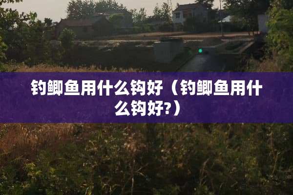 钓鲫鱼用什么钩好(钓鲫鱼用什么钩好?) 钓鲫鱼用什么钩好(钓鲫鱼用什么钩好?)