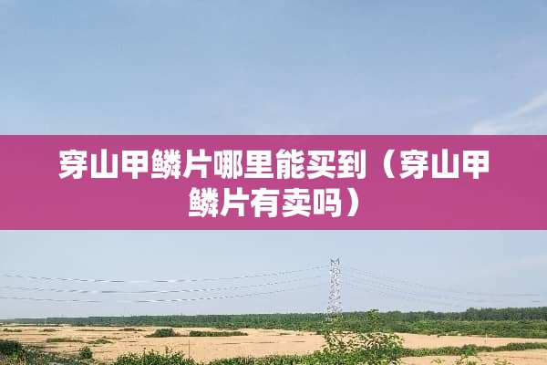 穿山甲鳞片哪里能买到（穿山甲鳞片有卖吗）